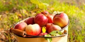 fall_apples